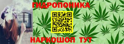 стаф Апшеронск