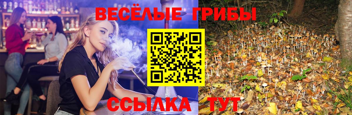 Галлюциногенные грибы GOLDEN TEACHER  Выкса 