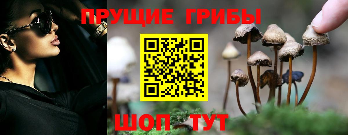 Галлюциногенные грибы мицелий  Вход с VPN  Выкса 